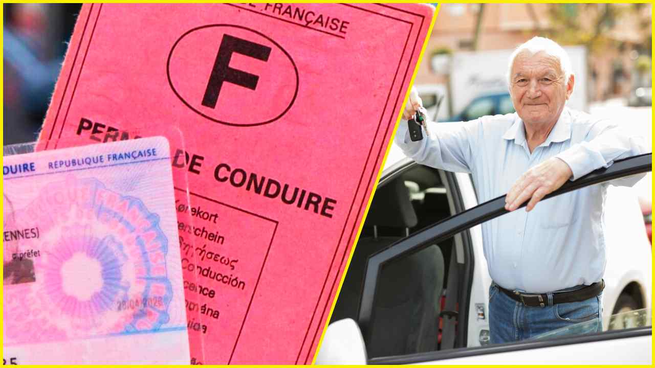 © permis de conduire